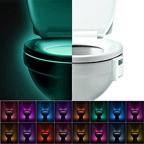 LED Toilet Light