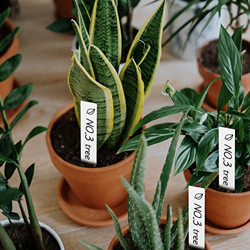 Amorning SZ-BC210YB 100Pcs 4 Inch Plant Labels,Plastic Waterproof Nursery Stake Tags thumb #6