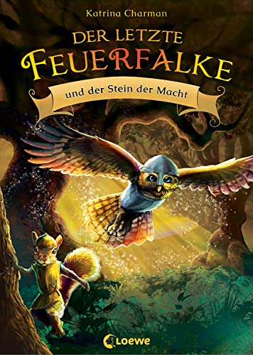 Der letzte Feuerfalke und der Stein der Macht (Band 1): Spannendes...