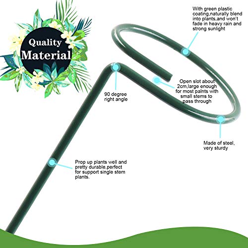HiGift 10 Pack 36 Inch Plant Support Stake for Tall Plant, Garden Single Stem Flower Support Stake Indoor Plant Cage Support Ring for Peony, Orchid, Lily, Rose - Thumbnail 3