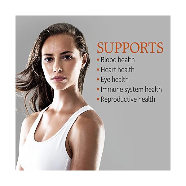 Garden-of-Life-Vitamin-Code-Raw-Iron-Supplement-22mg-Once-Daily-Iron-Vitamins-C-B12-Folate-Fruit-Veggies-Probiotics-Iron-Supplements-for-Women-Energy-Anemia-Support-30-Vegan-Capsules Vitamin Code Raw Iron 30ct Capsules