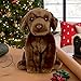 Living Nature Soft Toy - Stofftier Labrador, braun (20cm), Unbekannt