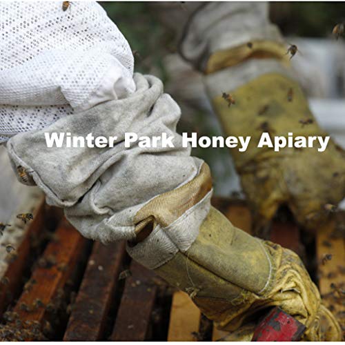 Austin Honey | Miel Local para Temporada de Alergias miniatura 4
