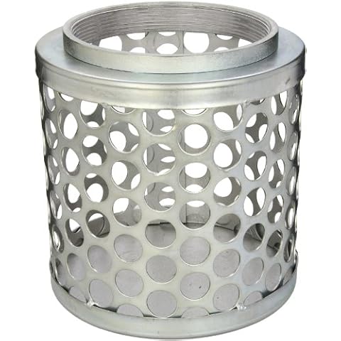 PT Coupling Carbon Steel Round Hole Pump Suction Strainer, 6" Cover