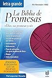 Biblia de Promesas Letra Grande Piel Esp. Rosada // Promise Bible Large Print/ Special Leather/ Pink (Spanish Edition)