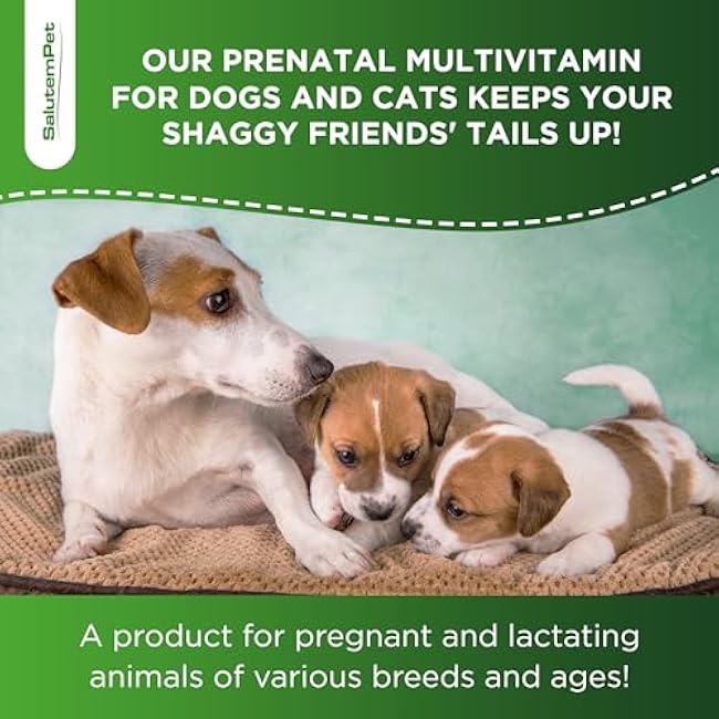 Dog Prenatal Vitamins for Moms During Lactating ¨C Prenatal Vitamins for Dogs & Cats of All Breeds to Care for Pet Development ¨C Multivitamin for Cats ¨C 2 Oz ¨C Herbal Supplement for Pets-B088NUya