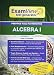 PRENTICE HALL MATH ALGEBRA 1 EXAMVIEW TEST GENERATOR BOOKLET WITH CD    2004C