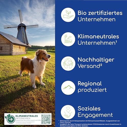 Natürliche Magen-Darm Paste für Katzen - Katzensnack mit Probiotika und Ulmenrinde - Unterstützt Verdauung und Darmflora, Gastro Intestinal Paste