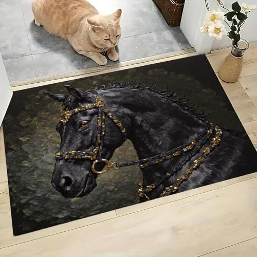 Paillasson d'entrée luxe noir tapis de sol de bain absorbant