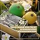 HELDSON® Premium Faszienball klein 2er Set [6cm & 8cm] - Faszien Ball hart - Faszienball für Füße - Massage Ball um Verspannungen in Nacken, Schulter zu lösen - Faszienkugel - Massageball Rücken