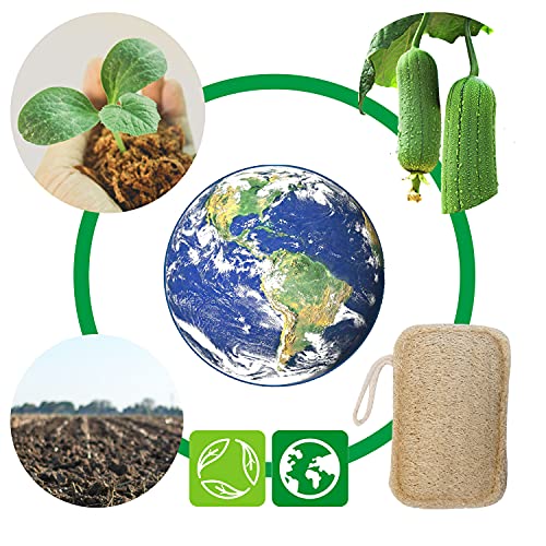 6 pezzi di spugna di luffa organica, spugna di