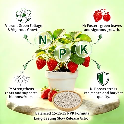 Fertilizante Granulado Multisuperficie 15-15-15 1 lb miniatura 3