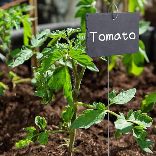 20 Stück Silberfarbene Pflanzenetikettenhaken, Gartenmarkierer, Pflanzenetikettenaufhänger, Gartenpflanzenschild, verformt, Haken, Hängestangen für Gartengestaltung und Rankhilfen