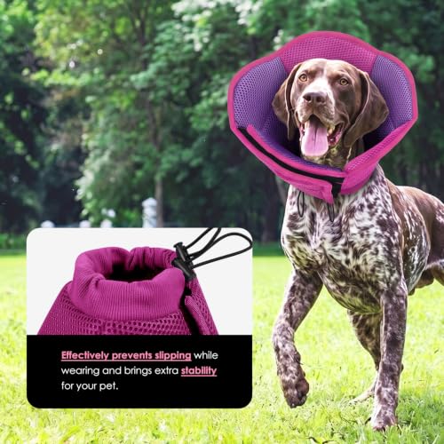 Image of AOFITEE Dog Cone - Foldable Cone for Dogs After Surgery, Adjustable Comfy Cones to Stop Licking, Soft Dog Cone Collar for Large Dogs, Elizabethan Pet E-Collar for Wound Healing, MagentaPurple Large