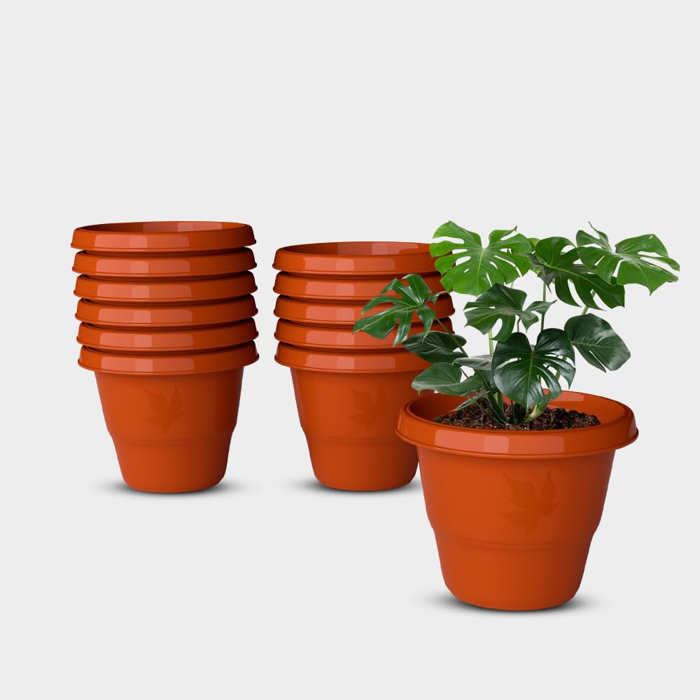 YUCCABE Italia Shera Flower Pots - Set of 3 -29 YUCCABE Italia Shera Flower Pots - Set of 3 -29