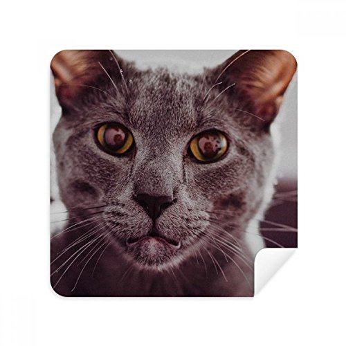 Chiffon écran téléphone anti-poussière lot de 2 essuie-écrans microfibres chat gris