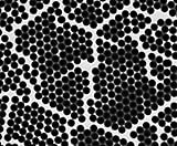 Alpha Nanotech Inc.