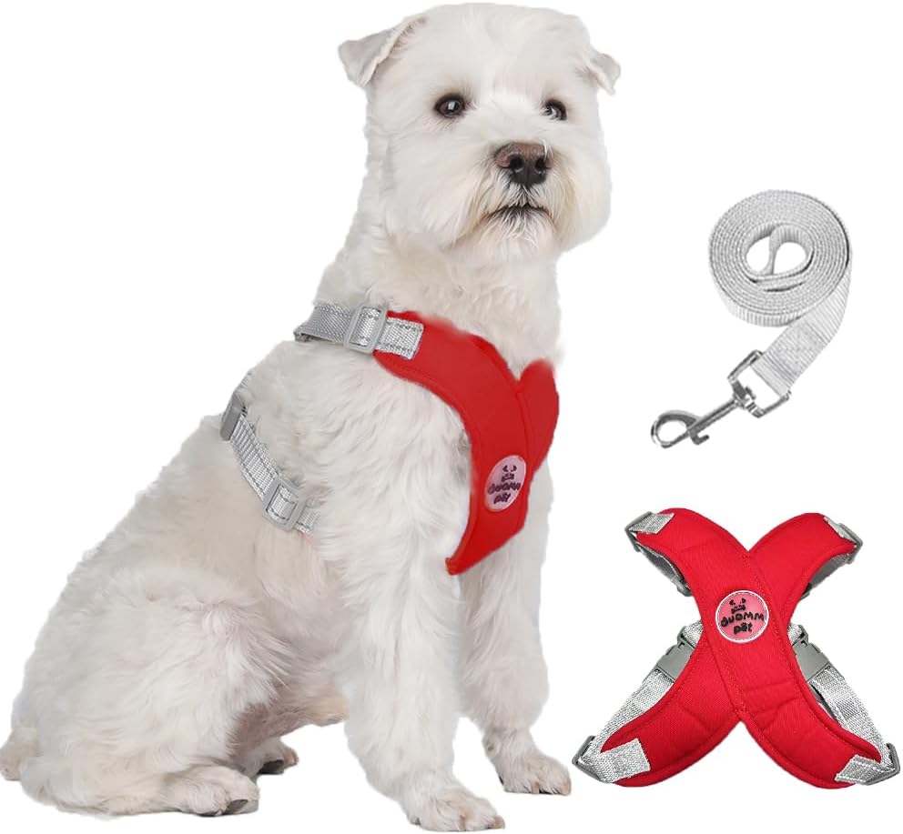 FEimaX Dog Harness Pet X Frame No Pull Step-in Harnesses with Leash Set, Adjustable Reflective Choke Free Puppy with Padded Vest for Small, Medium Dogs and Cats Walking Training