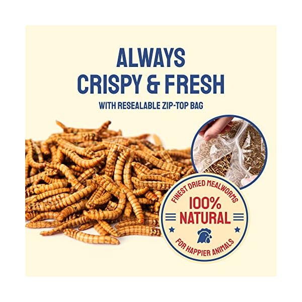 Hatortempt Dried Mealworms 5 lbs Premium Organic NonGMO Dried