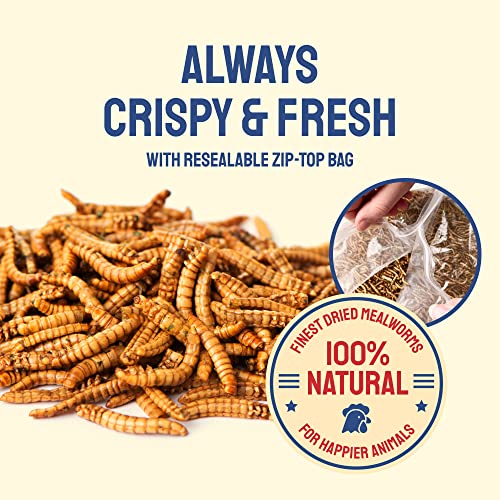 Hatortempt Dried Mealworms 5 lbs - Organic Non GMO Dried Meal Worms for Chickens - High Protein Chicken Feed - Dried Meal Worms for Wild Birds & Chicken Treats for Laying Hens - Mealworms for Birds - Image 4