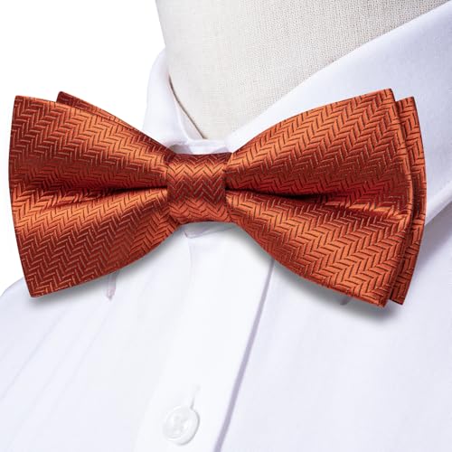 Image of Dubulle Mens Paisley Striped Bowtie Set Pre-tied Bowtie for Men and Pocket Square Set Wedding Business