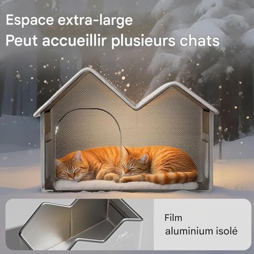 Abri pour chaton par temps froid : protégez votre animal au jardin