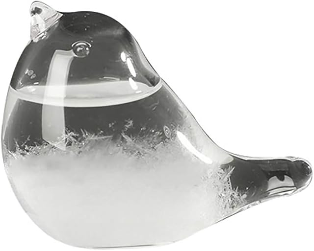 Fuoliystep Weather Station Glass Storm Glass Weather Forecaster Bird Liquid Barometer Weather Predictor Office Desktop Home Decorative Weather Glass, Gift for Women Birthday Mother's Day