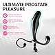 Anal Adventures - Prostata Stimulator - Schwarz