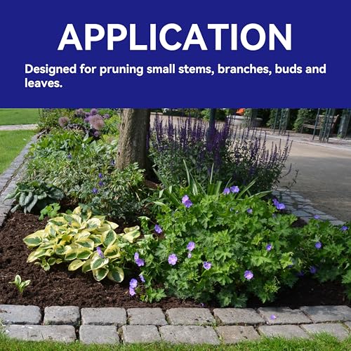 Tijeras para Bonsái HFS 6 Piezas para Podar y Recortar Plantas miniatura 6