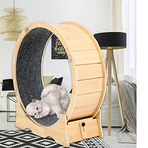 Cat Exercise Wheel Indoor Treadmill Small Animals Exercise Wheels ，Cat Runway, Fitness Weight Loss Device，Cat Running Wheel ，Pet Toy ，Large-Sized Cat Wheel (Extra Large) #TOP4