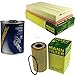 Produktbild QR-Parts Set 85496308 C 39 219 9900 HU 719/5 x Original MANN-Filter Inspektionspaket SCT Motor Flush Motorspülung 11573351
