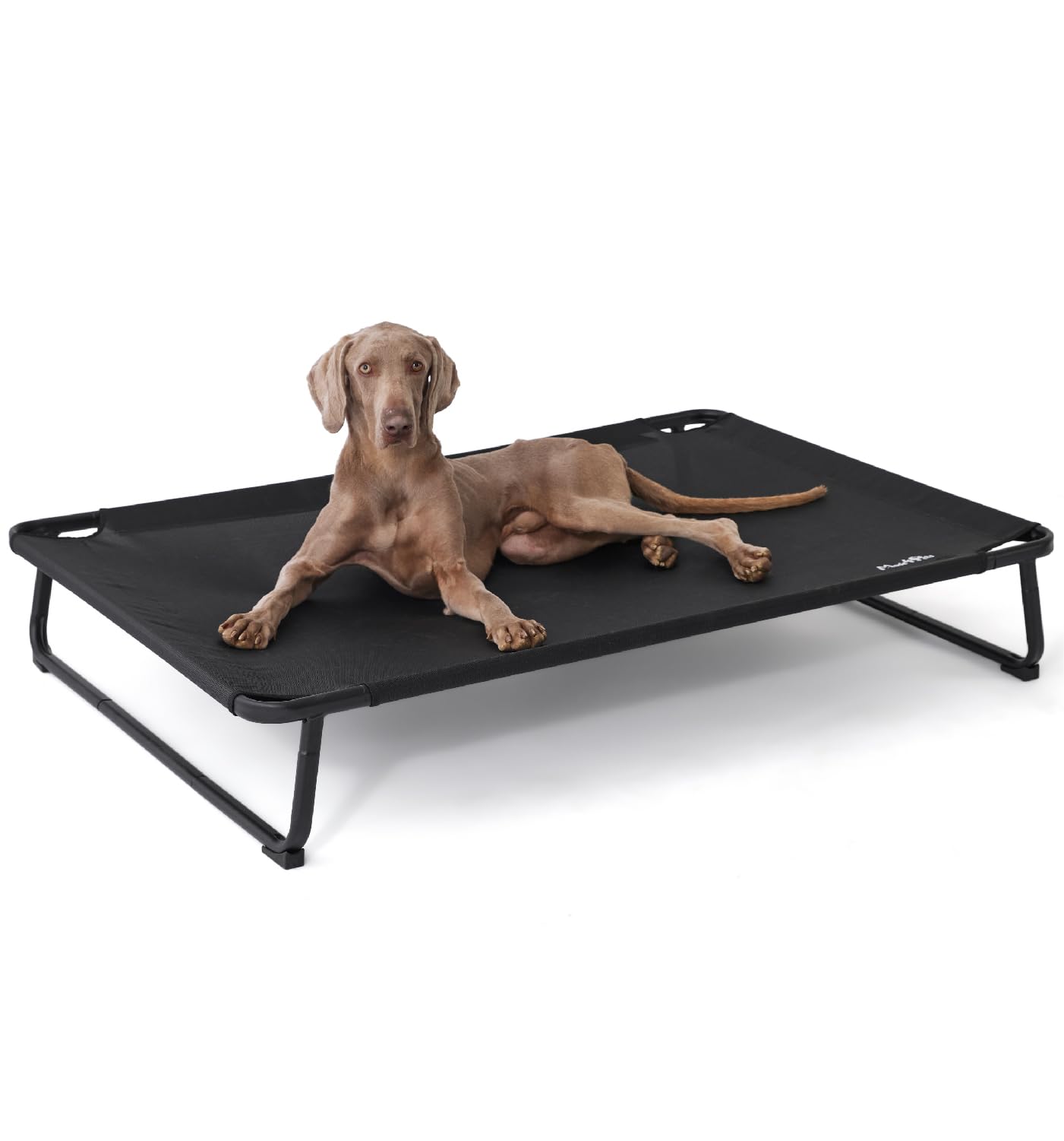 MADE 4 PETS Raised Dog Bed for XXL Dogs