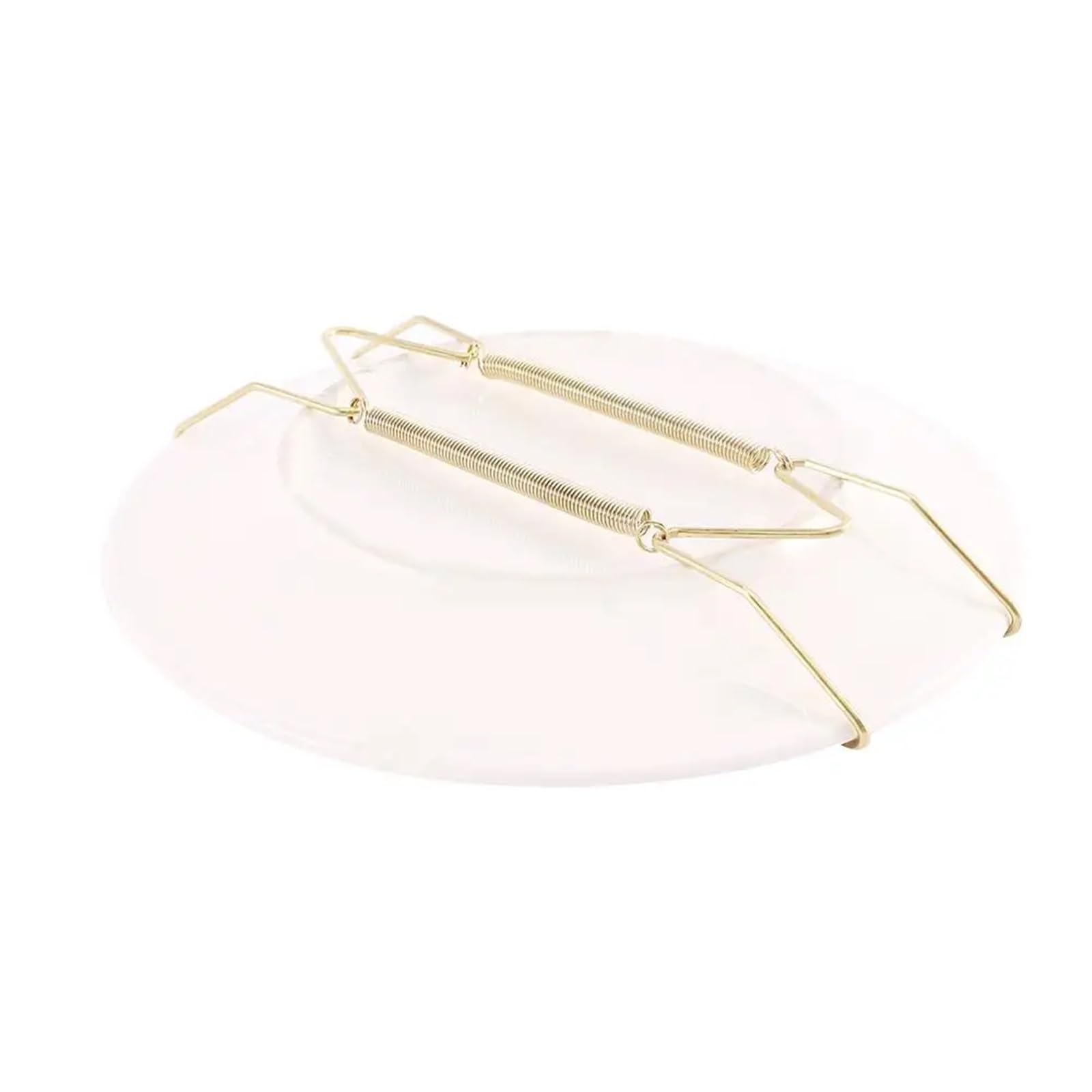 Plate Hangers for Walls 10pcs Invisible Hook Wall Display Art Dish Securing Clip Decoration Crafts Spring Holder Plate Hanger(12 inch)