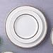 Noritake Haku Set of 4 Dinner Plates, 11