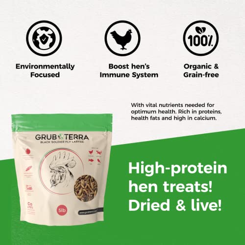 Grub Terra Natural Healthy Chicken Treats, Black Soldier Fly Larvae Made In Usa And Canada, For Chicken, Ducks, And Wild Birds, 75X More Calcium Than Dried Mealworms #TOP4