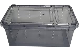 Jungle Bob Snake Box