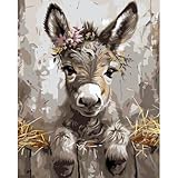 AALBLAC Paint by Numbers for Adult, Donkey Paint by Numbers Kit for Adults Beginners, DIY Animal Acrylic Painting on Canvas for Home Wall Art Decor 16x20 Inch