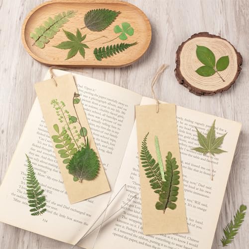 95 Piezas Hojas Secas Naturales para Manualidades DIY miniatura 7