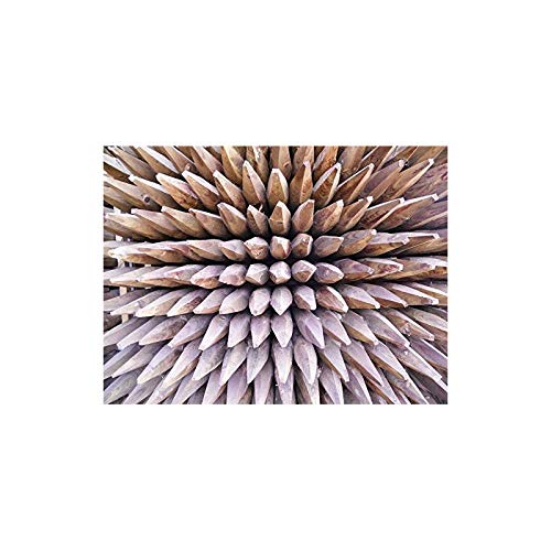 Suinga Pack 10 Estacas para Arboles 180 cm Ø 3 cm | Tutores con Punta | Poste para Vallas, Jardin y Plantas | Poste de Madera| Soporte para arboles