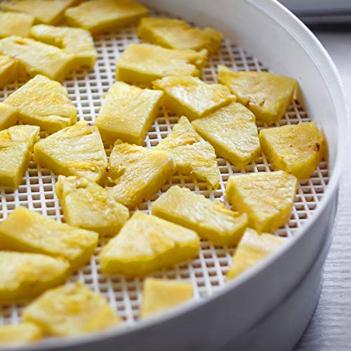 4 Pieces Round Silicone Dehydrator Sheets Non-Stick Food Dehydrator Mats Reusable Silicone Steamer Mesh Baking Mat For Fruit Dryer #TOP5