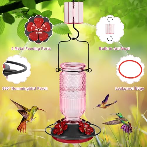 Image of FEED GARDEN Glass Hummingbird Feeder for Outdoors Hanging, 16 oz Leak-Proof Nectar Feeder with Bee Guards & Ant Moat, 4 Metal Flower Feeding Ports, 360 Perch Ring, Easy Refill & Clean, Pink