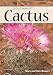 Cactus of the Southwest (Nature's Wild Cards)