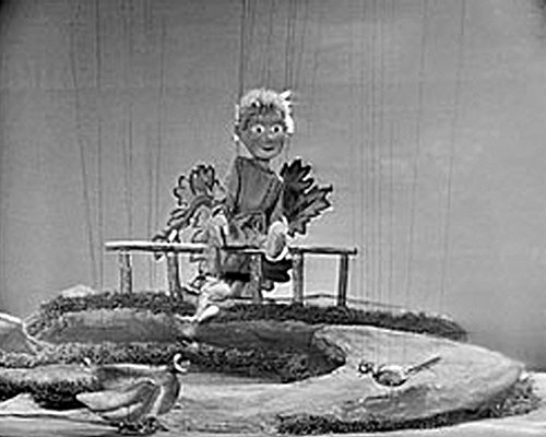 DVD de marionetas Peter und der Wolf teatro clásico infantil 4
