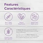 Webber Naturals Vitamine B2 Riboflavine 100 mg, 120 Comprimés | Soutient Le Métabolisme Énergétique, Végétarien