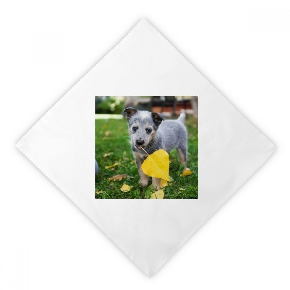 Serviette en tissu motif chiot pour partager des repas joyeux