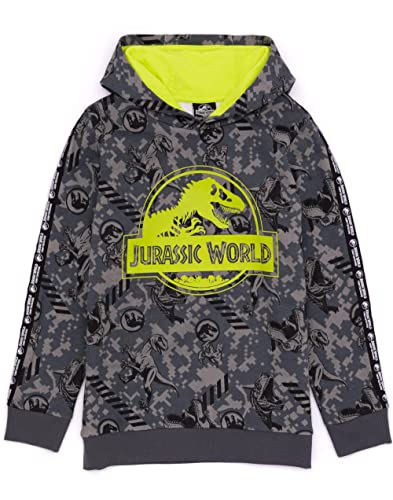 Jurassic World Hoodie Kids Boys Camp Cretáceo T Rex Suéter Gris 9-10 años