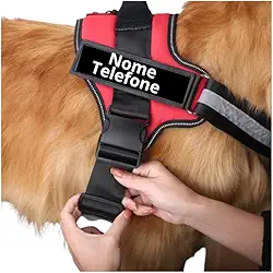 Coleira Personalizada Com Nome Telefone Para Cachorro Cães Pet Peitoral Colete Identificação (Vermelho, M)