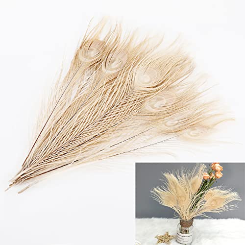 HARUIZ 15 Stück Natürliche Pfauenfeder Echt Federn zum basteln 25-32cm I pfau deko ​Hochzeit Party Heimdekoration Cover