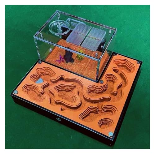 EYRMQWJPC Ameisenburg Terrarium mit Tunnelsystem