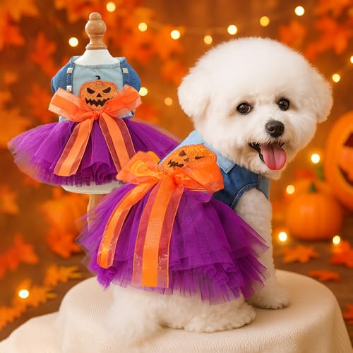Vestido disfraz de Halloween para perro pequeño morado miniatura 2